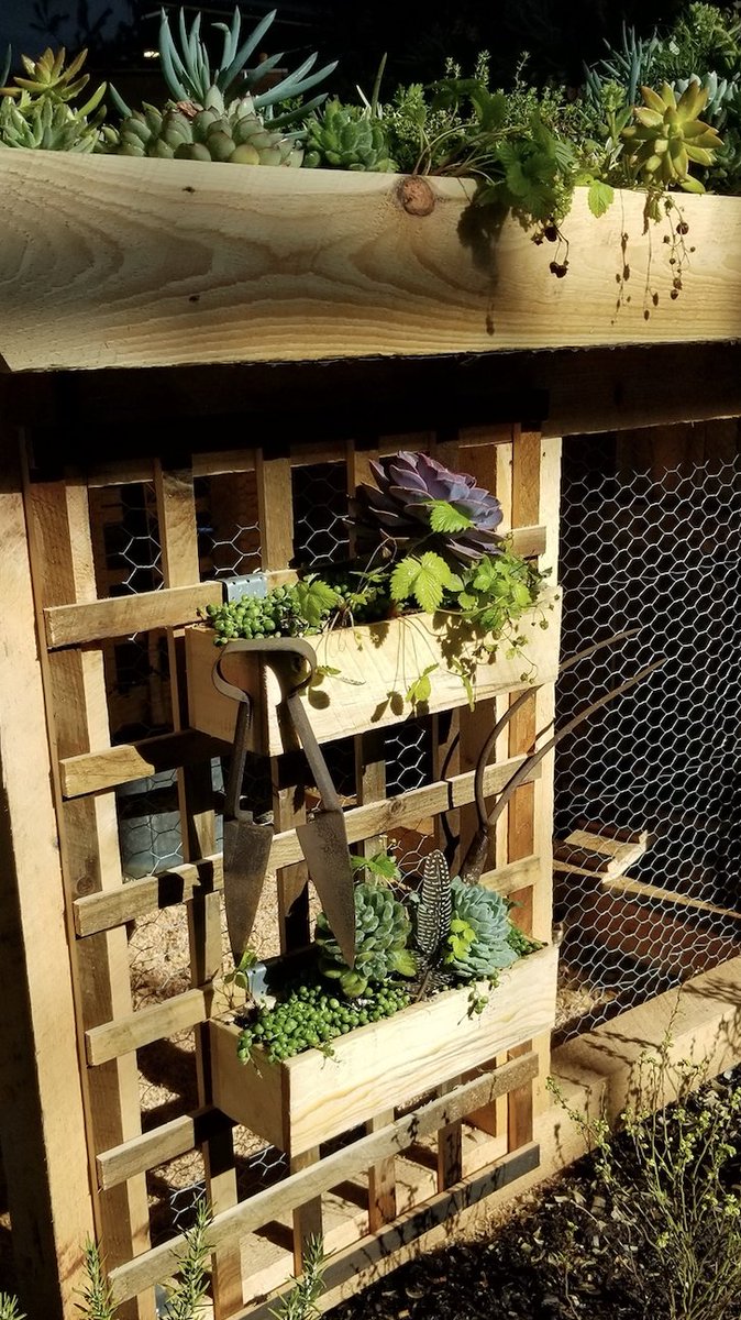 Feeling like summer today! Nothing like some #sunshine to help feed your #outdoorgarden. #LiveWellLiveInspired #Biophilia #Plants #OutdoorLiving #Springtime #Gardening