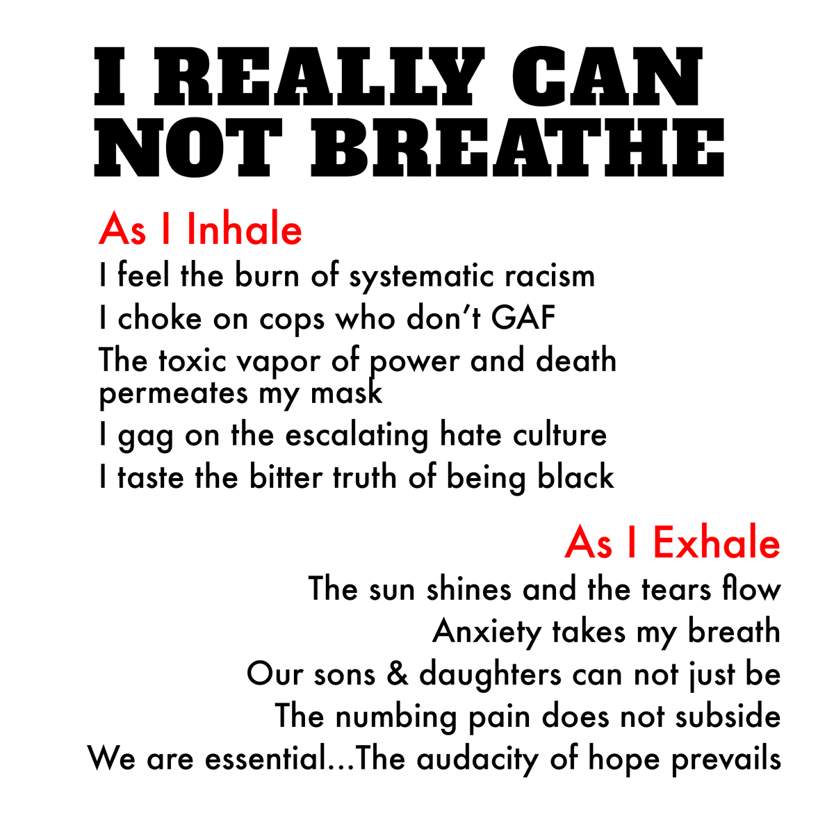 sandralawrence tweet media