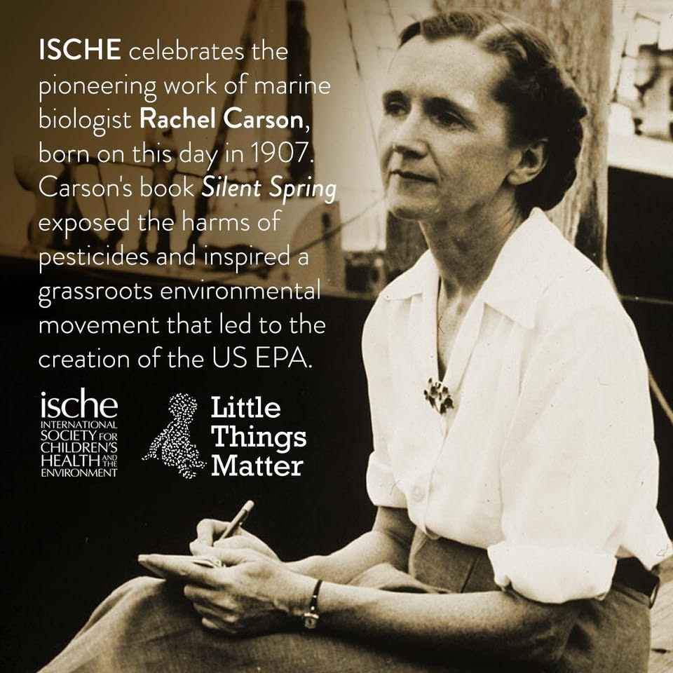 ISCHE celebrates the pioneering work of marine biologist Rachel Carson, born today in 1907. Carson's book, <a href="/SilentSpringIns/">Silent Spring Inst</a>, exposed harms of #pesticides &amp; inspired a grassroots movement that led to the US <a href="/EPA/">U.S. EPA</a>. 

Learn more about Carson's life <a href="/NRDC/">NRDC 🌎🏡</a>: nrdc.org/stories/story-…