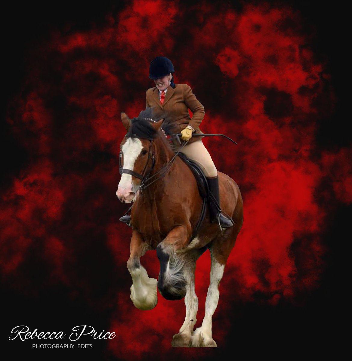 Rebecca Price Photography tweet media