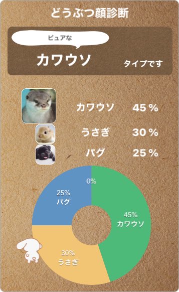 どうぶつ顔診断