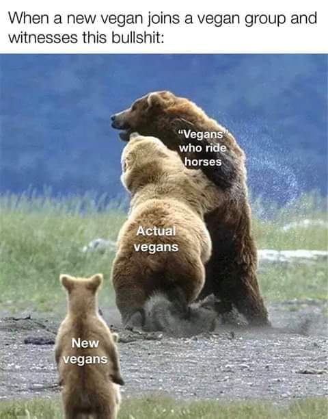 herbivore_club's tweet photo. It's scary how many people think that it's ok to get on top of someone without consent for their enjoyment while arguing till they're blue in the face that it's fun for both parties, but that's horse riding for you 🐎 https://t.co/TVcfWIqe6m