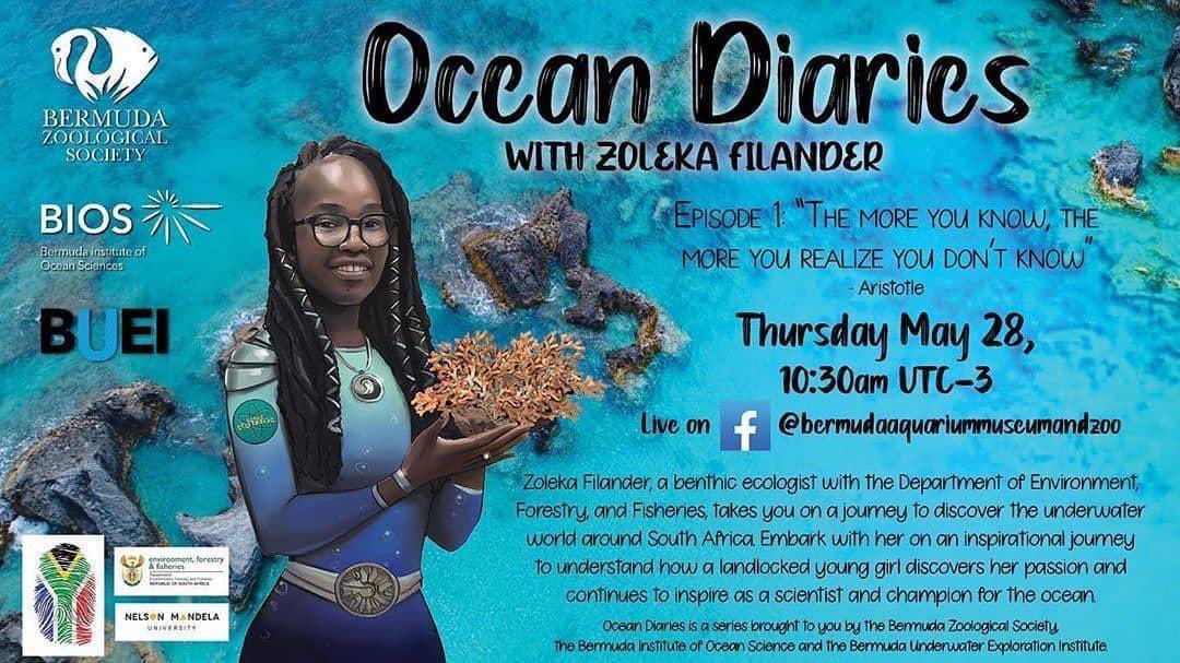 BIOSstation's tweet photo. Join educators from BIOS, @BdaZooSociety and @BueiBermuda for the first “Ocean Diaries” this Thursday, May 28. The Facebook Live event will feature a conversation with Zoleka Filander, a benthic ecologist with the Dept of Environment, Forestry and Fisheries in South Africa. https://t.co/JzDbN2EqHa
