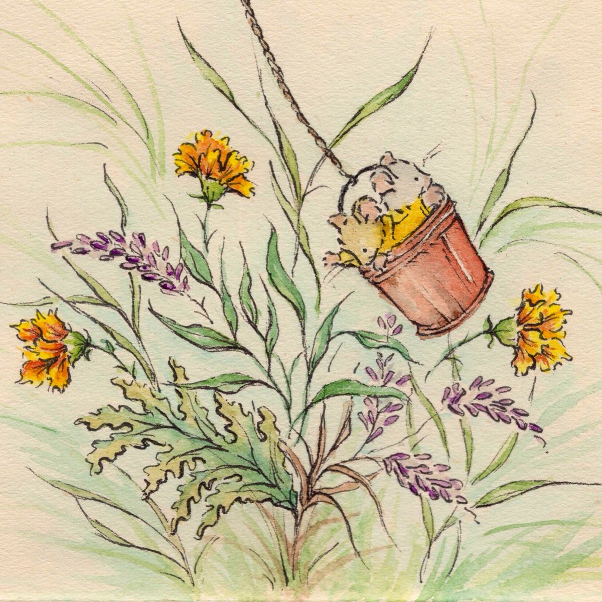 MorrisMouse_PA's tweet photo. New blog post up ... Passage over The Great Dip β€οΈπ at https://t.co/BfcNPj2ggF #morrismouse #bucketswing https://t.co/siSz2dTeY5