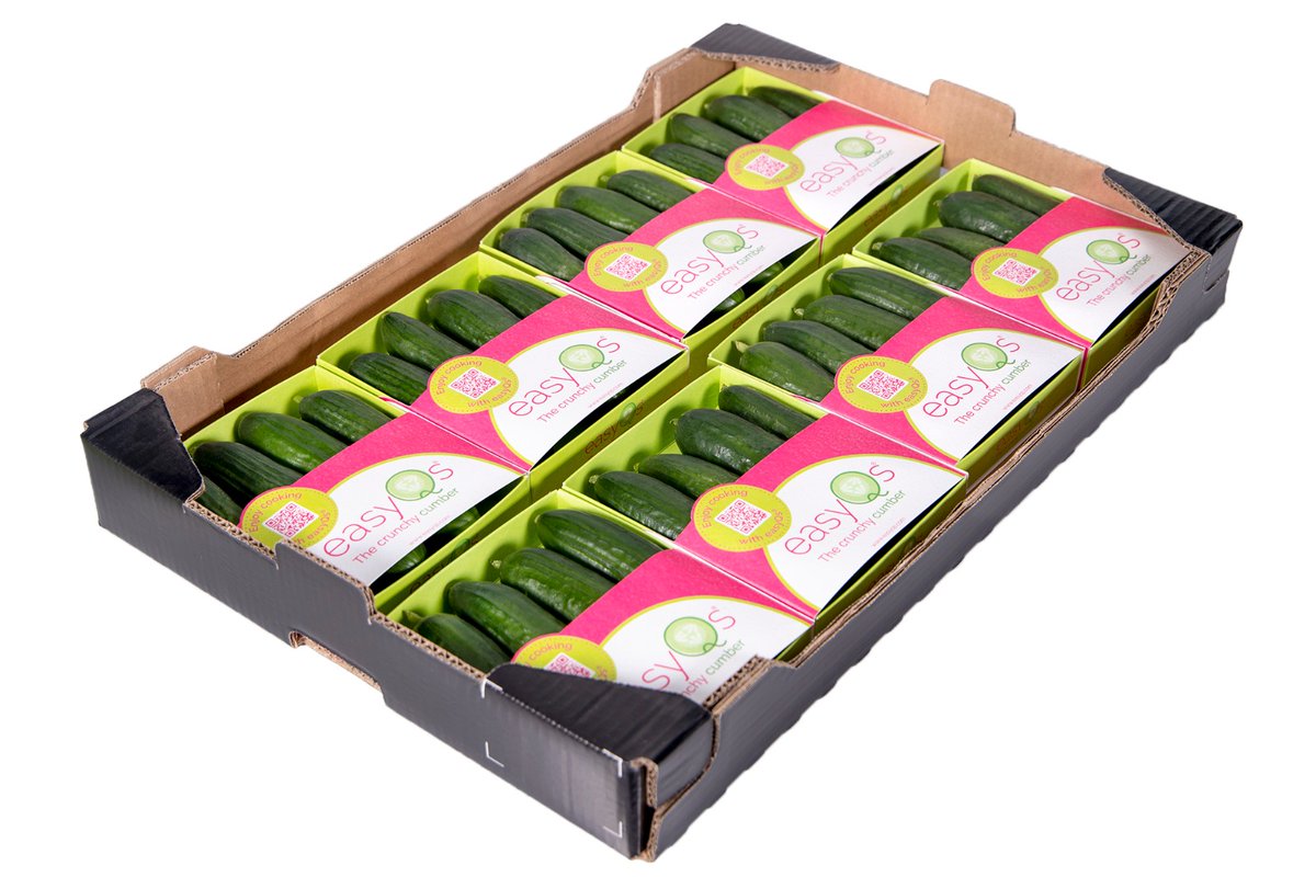 ExperienciasEZ's tweet photo. ¿Los conoces? Son easyQs by Enza Zaden:
✅ Nueva presentación plastic free!
✅ Stop al desperdicio alimentario!No más porciones 
✅ Crunchy bite? Pruébalo incluso para dipear😋 
 
#easyQs #thecrunchycucumber #sustainability #convenience https://t.co/LRObRPj4Di