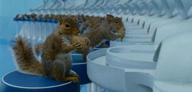 1. dans Charlie et la Chocolaterie, Tim Burton a préféré utiliser 40 écureuils dressés à casser des noisettes plutôt que d'utiliser des effets spéciaux