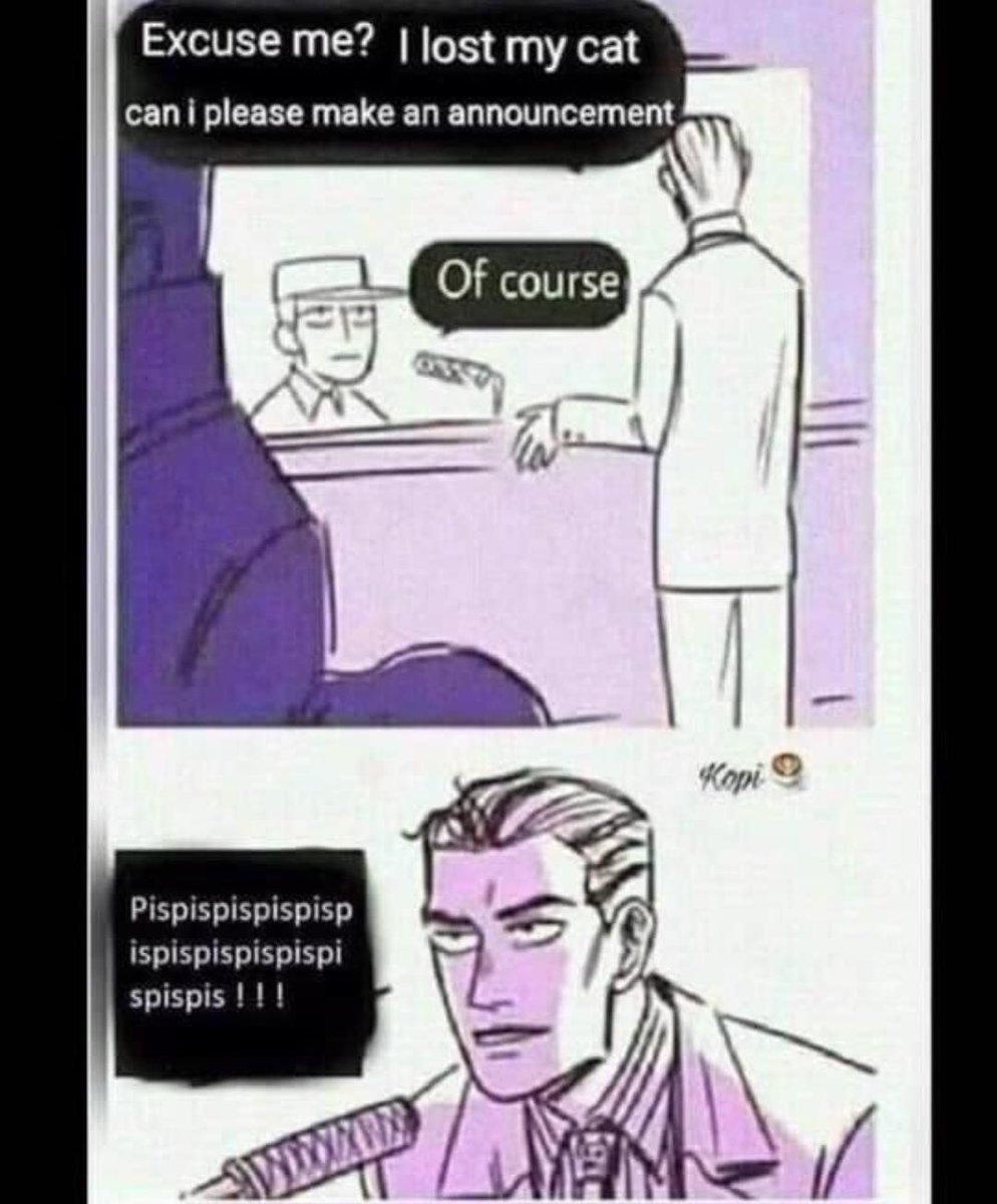 CatSongs tweet media