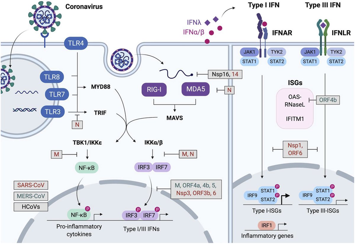 Cell Host & Microbe tweet media