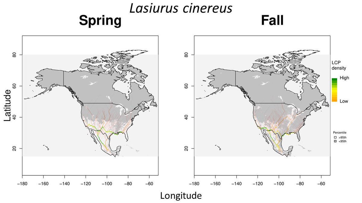 4/5  #WBTC1  #MoveEco1 Additionally, using our SDM, occurrences and a LCP analysis, we predicted migratory pathways across the US and looked at the relationship with WE locations. Depending on species, different pathways are proposed, but see many pathways where WE are currently