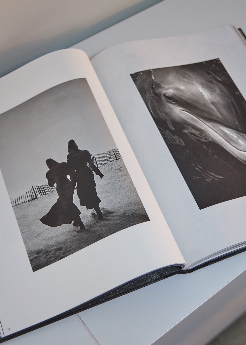 Necessary reading.

Shop Print: soo.nr/2qeQ