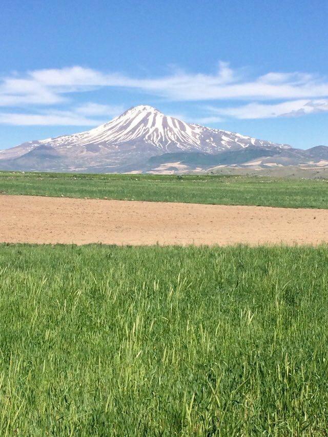 Caylicam38's tweet photo. Yasaklarda bir başka güzel  #Erciyes ve #Çaylıca https://t.co/hJHaUhOSgv
