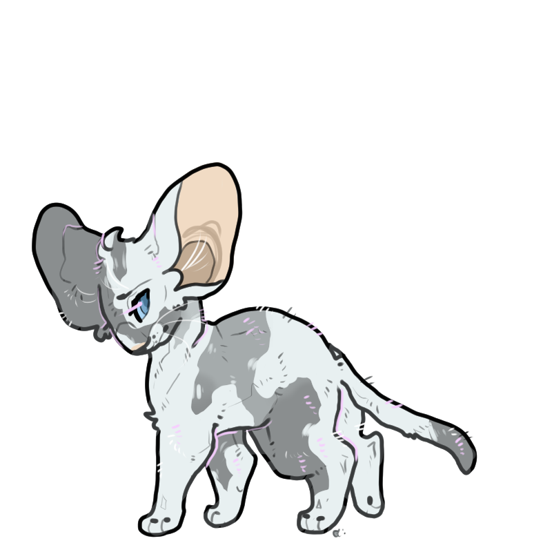 whimsyfinch's tweet photo. oriental moggy kits have the best ears and i will fight for that

#floralempires #fearpg #warriorcats #rootclan https://t.co/YKILYDzW4m