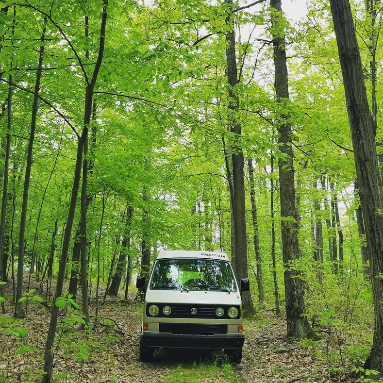 <a href="/JHovanCVHS/">James Hovan</a> thank you!😊Bio students, In your yard, garden, or trees &amp; shrubs around you, nature is at work If you are able to take a hike/walk, spend time exploring, download an app (Plantsnap,IMapInvasives) find something new about nature Share &amp; tag me using #CVOutdoorSchool
