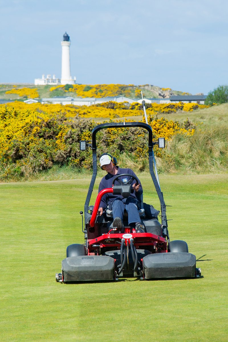 Daniel Forsyth tweet media