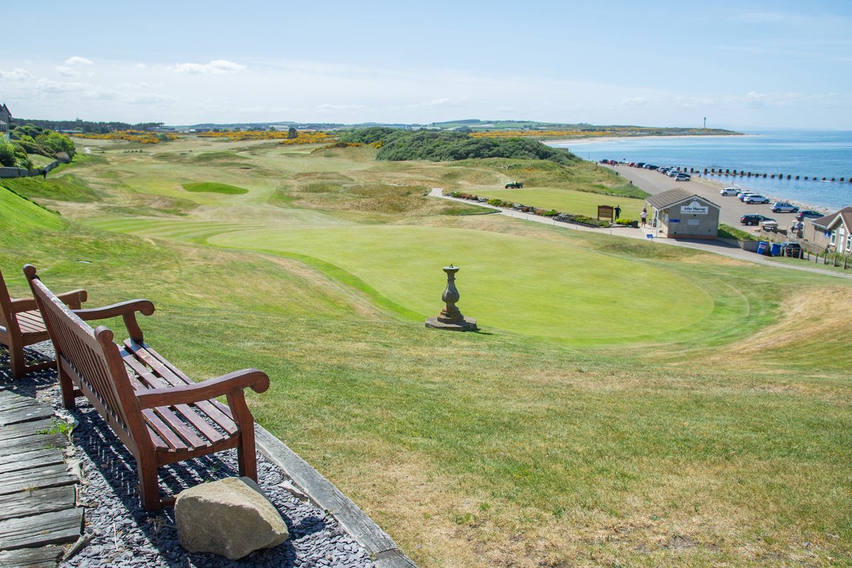 Daniel Forsyth tweet media