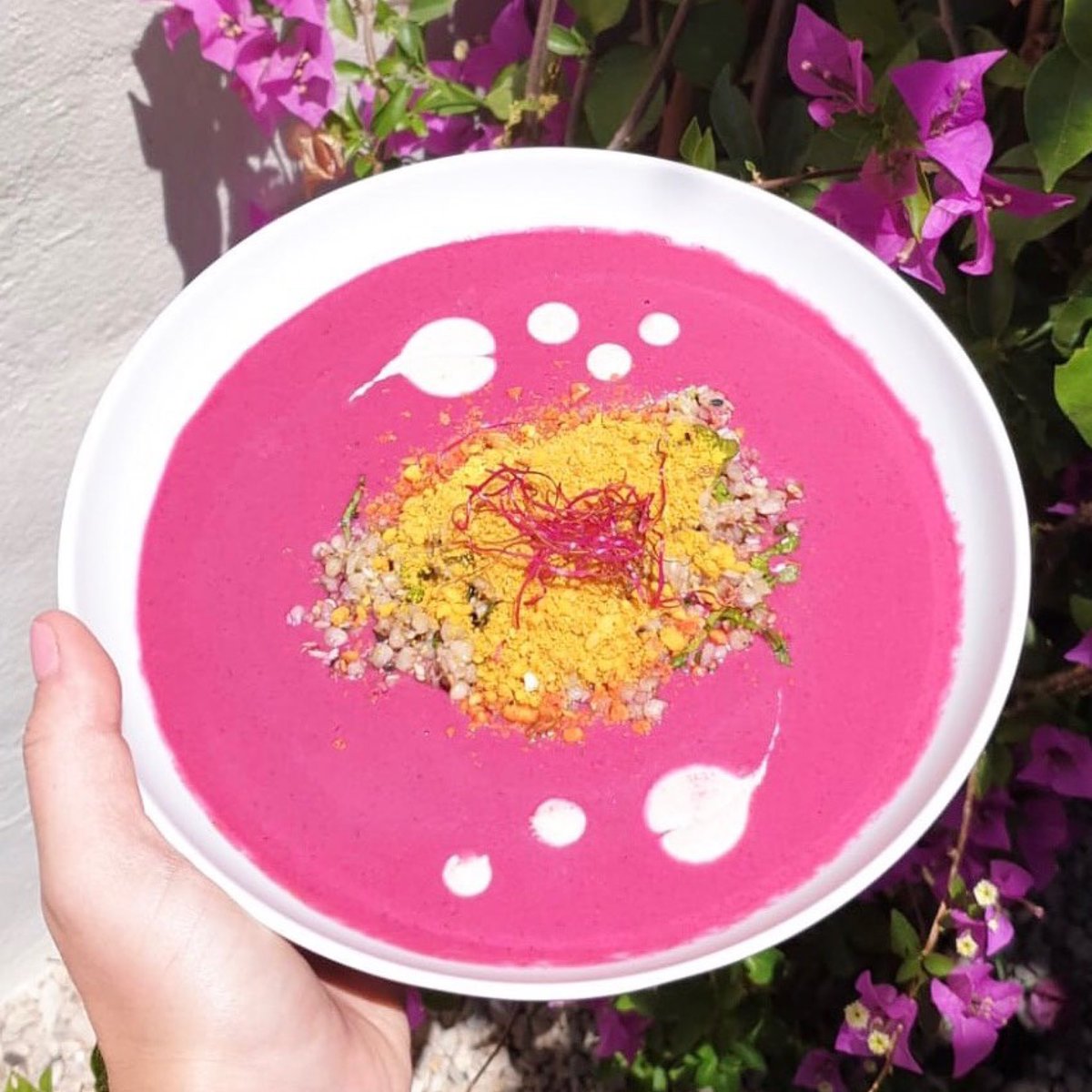Vibrant beetroot Gazpacho, topped with toasted buckwheat and turmeric Parmesan. A treat for both the eye and the body💖
~
You can find more colourful dishes in The Body Camp Food Bible. Follow the link to order your copy today >>> bit.ly/bodycampshop