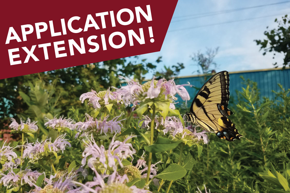 kibiorg's tweet image. Listen, we talked to some people, pulled some strings, and called in a few favors... and we got the application deadline extended for @iplpower Project #GreenSpace! Turn an underutilized space into a pocket park! Apply by June 12 at kibi.org/greenspace