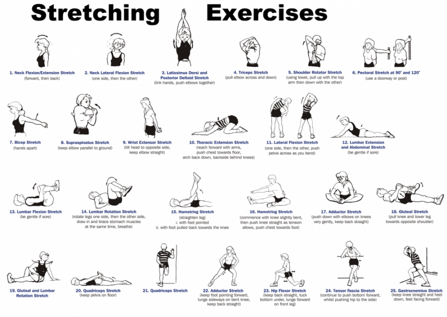 USCFCSC's tweet photo. Movement is essential for maintaining a healthy lifestyle. Stretching, taking short walks, or standing are all important, especially while working from home. Check out these stretching techniques to add into your daily routine: https://t.co/DoHnpW9eOr #5MsofMay #WellnessWednesday https://t.co/twLzRwelCr