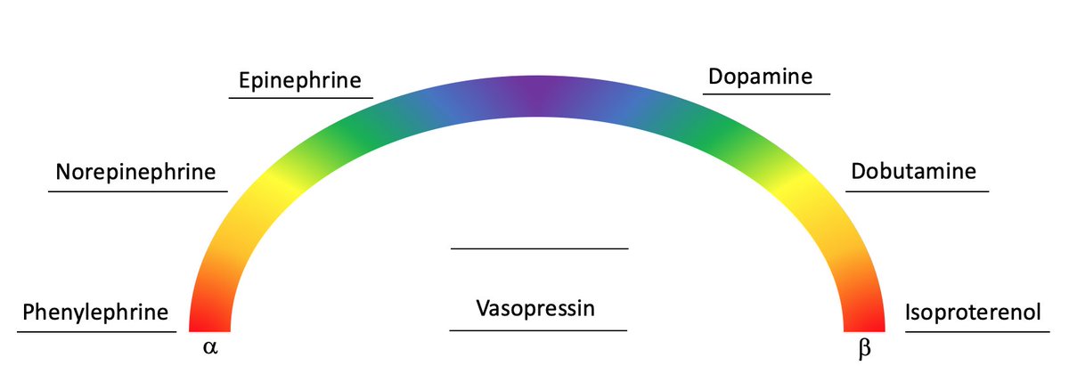 20/ Vasopressin, a vassopressor (no way) R: V1 receptors ( SVR)Use: Adjunct to norepi in septic shock, VAATS trial showed in subgroup of patients with less severe septic shock vaso+norepi provided mortality benefit compared to norepi alone  https://pubmed.ncbi.nlm.nih.gov/18305265/ 