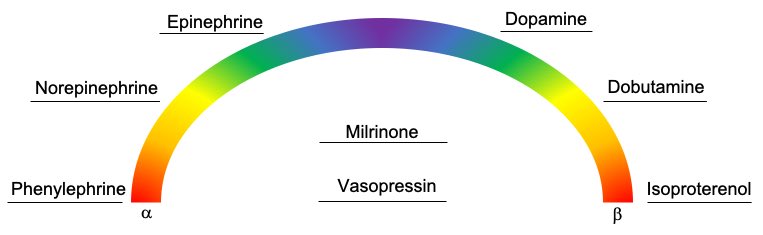 22/ so to complete our rainbowMilrinone, a inodilator and PDE-I ( CO SVR)Use: Cardiogenic shock, some studies ( https://pubmed.ncbi.nlm.nih.gov/9066407/ ) have demonstrated that milrinone Pulmonary VR and thus is thought to be beneficial in RH failureSE: arrhythmogenic
