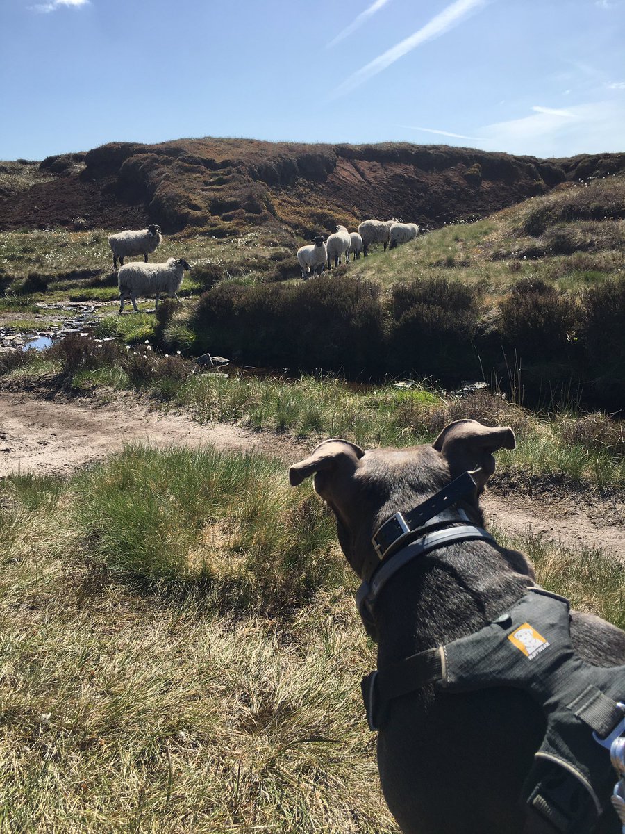 John Neate tweet media