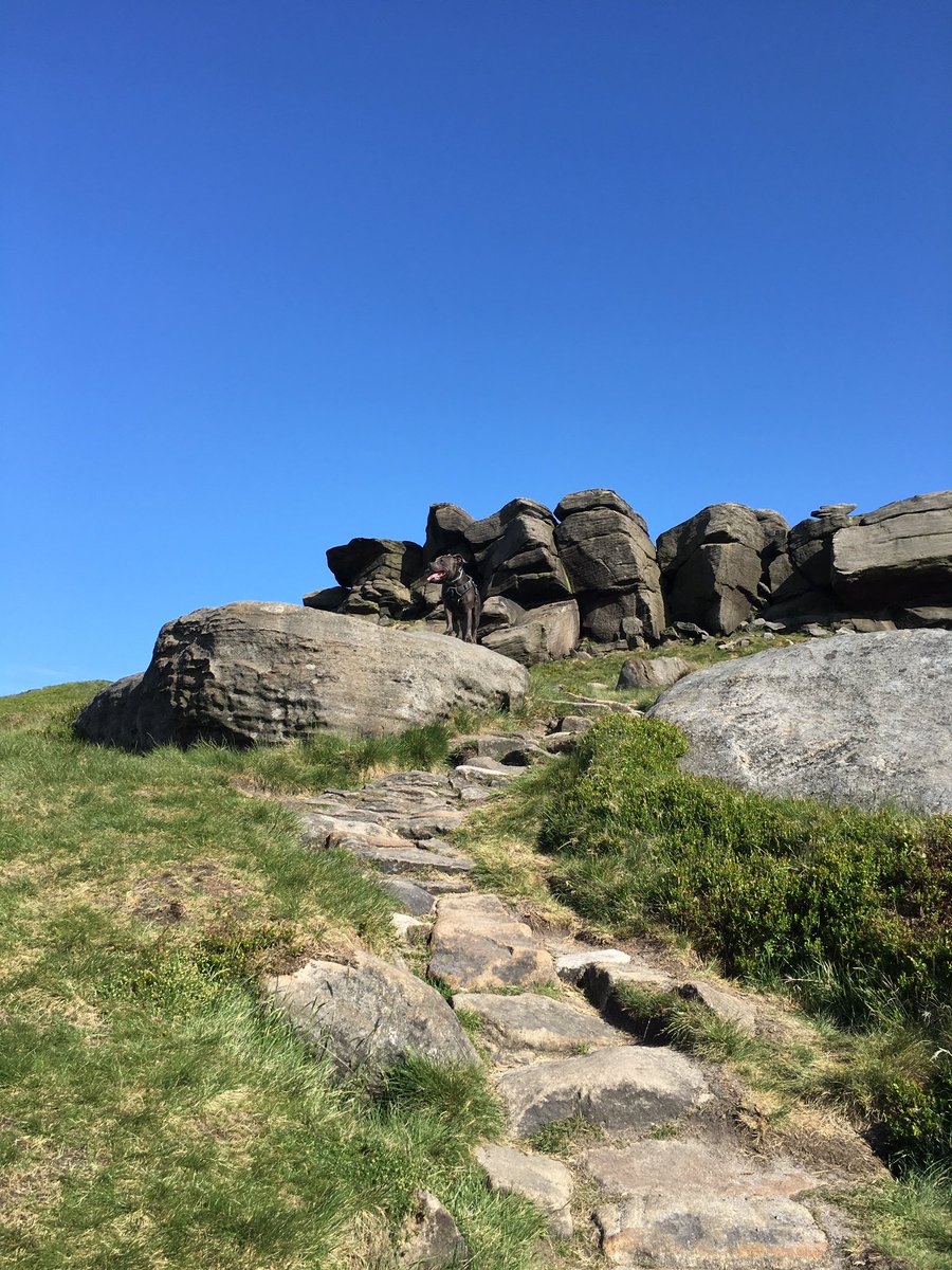 John Neate tweet media