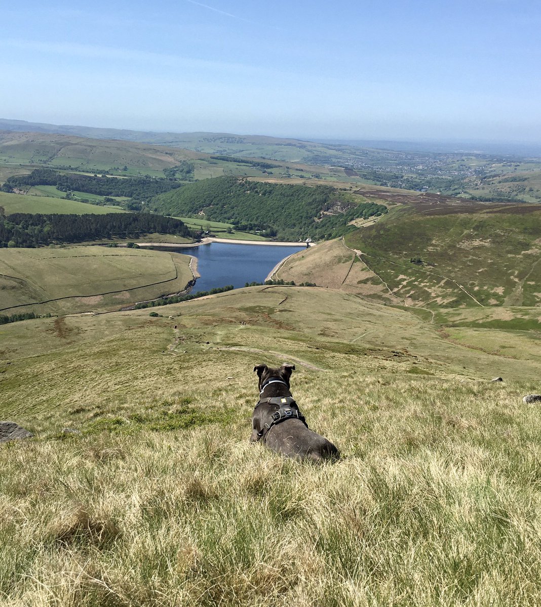 John Neate tweet media