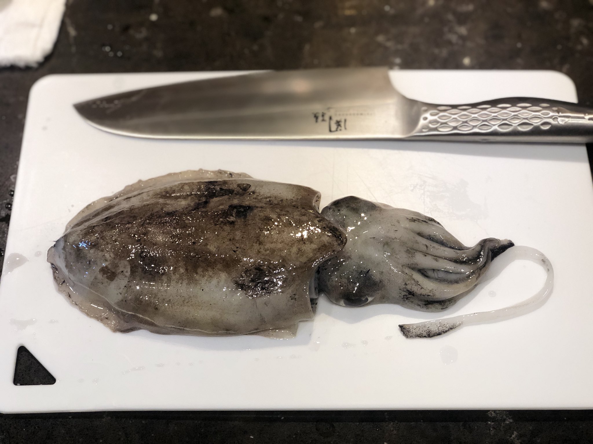 マサキ Auf Twitter 今日の晩御飯はコウイカを1匹まるまる捌いて イカ墨パスタ イカの新玉ねぎのマリネ ほか5品を自炊した イカ墨袋 は少量でもめっちゃ黒くなるのに驚きながらも豊かな香りを活かすペペロンチーノソースで仕上げた 捌いてる時に出てきたイカの