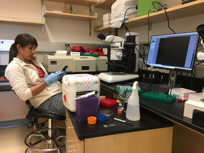 Kat looks at gut  #microbes living in stickleback fish. Some microbes help, and some do harm. Kat researches how changes in these microbes can affect health, as in the case of Irritable Bowel Syndrome.  https://rb.gy/f7ys8y 
