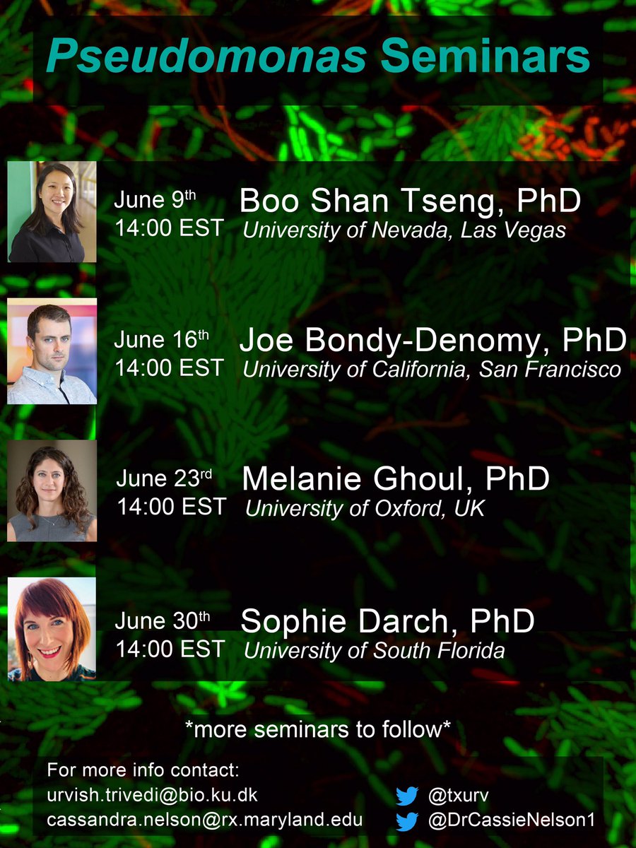 PSEUDOMONAS SEMINARS🔬

We have an amazing first lineup scheduled for this webinar series, featuring talks from @BTsengLab, <a href="/joeBondyDenomy/">Joe Bondy-Denomy</a>, <a href="/GhoulMelanie/">Melanie Ghoul</a>, <a href="/DarchLab/">Sophie Darch</a>, and more to follow. Spread the news and join us online! 

Sign up for webinar details:docs.google.com/forms/d/e/1FAI…
