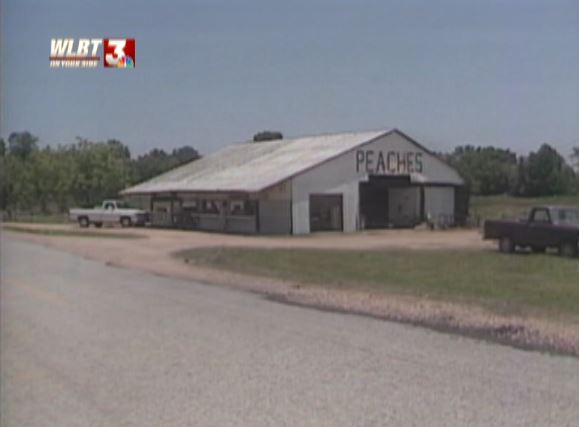 WilsonStribling's tweet photo. Did you ever buy peaches from the Occoneechee peach stand on I-55 in Terry? Lots of people were doing just that 32 years ago today: https://t.co/QhQ5eRxL6C #MSFlashback #OTD @Jbbaskerville https://t.co/a9V2ykEYIv