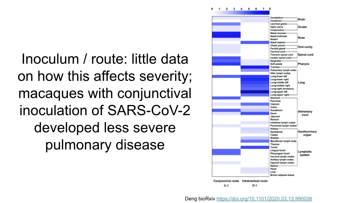 Little is known about importance of inoculum and route in disease severity. In this preprint macaques inoculated by conjunctival route had less severe pulmonary disease than those by intratracheal route https://doi.org/10.1101/2020.03.13.990036