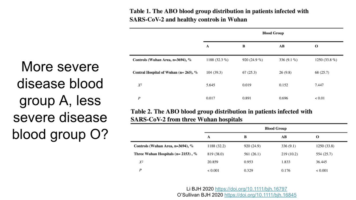 This interesting study found blood group A overrepresented and blood group O underrepresented among hospitalized patients with COVID-19 compared to the general population https://doi.org/10.1111/bjh.16797