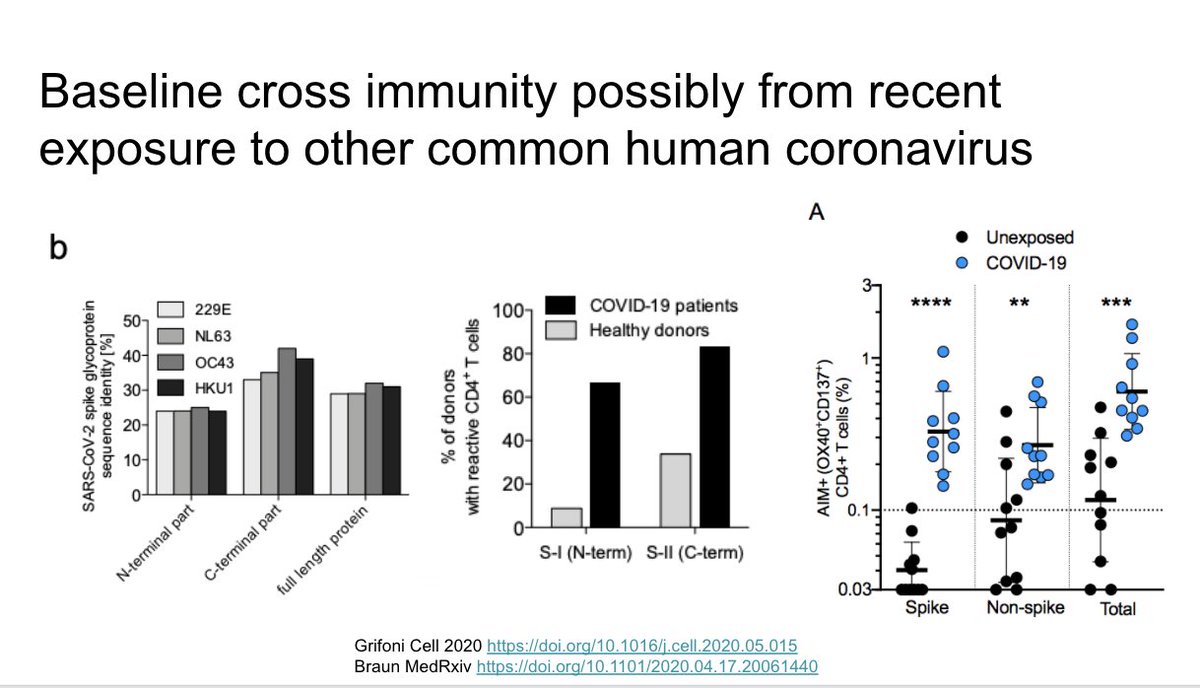 Baseline cross immunity possibly to the common human coronaviruses may explain differential severity. These are 2 important studies we've discussed in past updates that show a certain percentage of healthy donors have reactive T cells to SARS-CoV-2 proteins