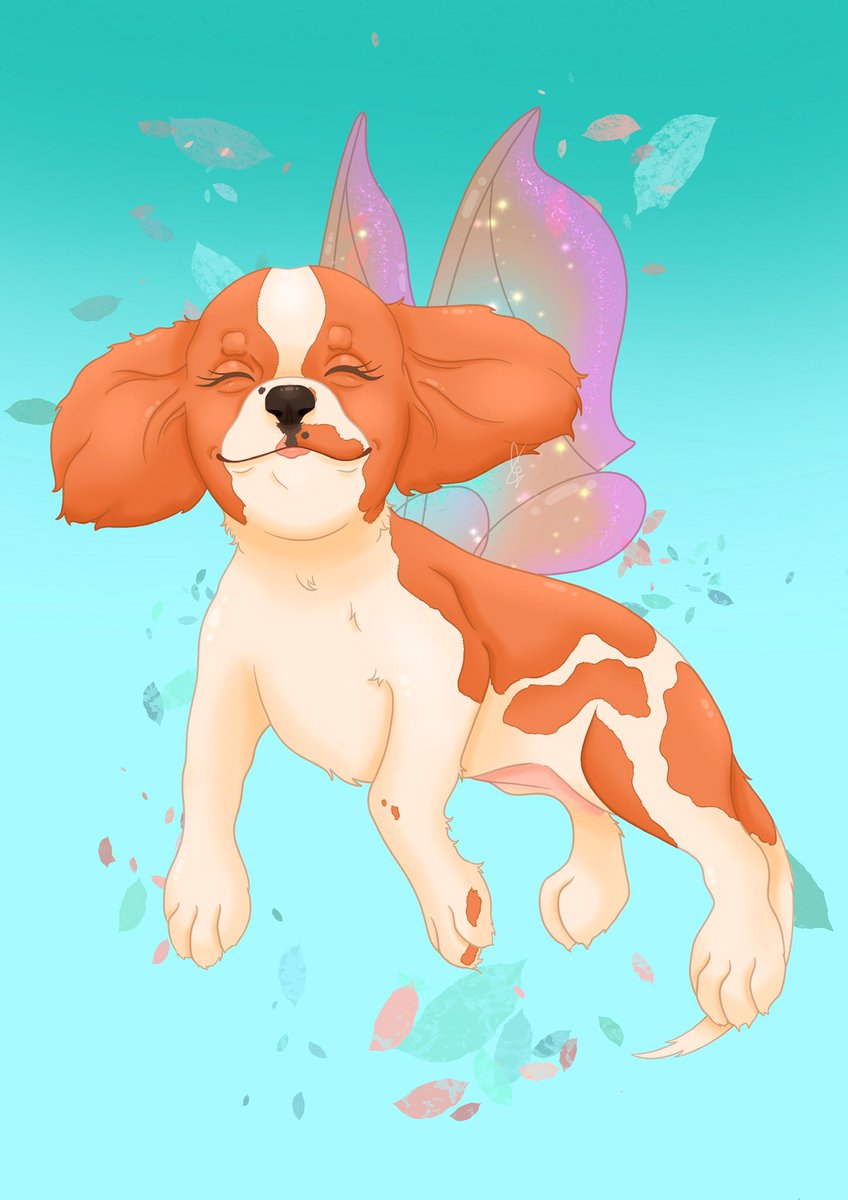 childsdrawing's tweet photo. Here is a little portrait for a cutie named Minka! Hope you’ll like it guys ☺️💗🐶 #cavalierkingcharles #cavalierkingcharlesspaniel #cavalierkingcharlesspanielsofinstagram #cavalierkingcharlesspanielpuppy #charadesign #characterdesign #character_design #Procreate #cute #drawing https://t.co/Ub7hOYmTze