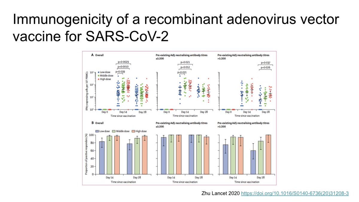 In an important paper in The Lancet, authors from China show the first published human data for a SARS-CoV-2 vaccine. This is an adenovirus vector vaccine. They measure strong adaptive immune responses, but less in those with baseline adeno antibodies. https://doi.org/10.1016/S0140-6736(20)31208-3