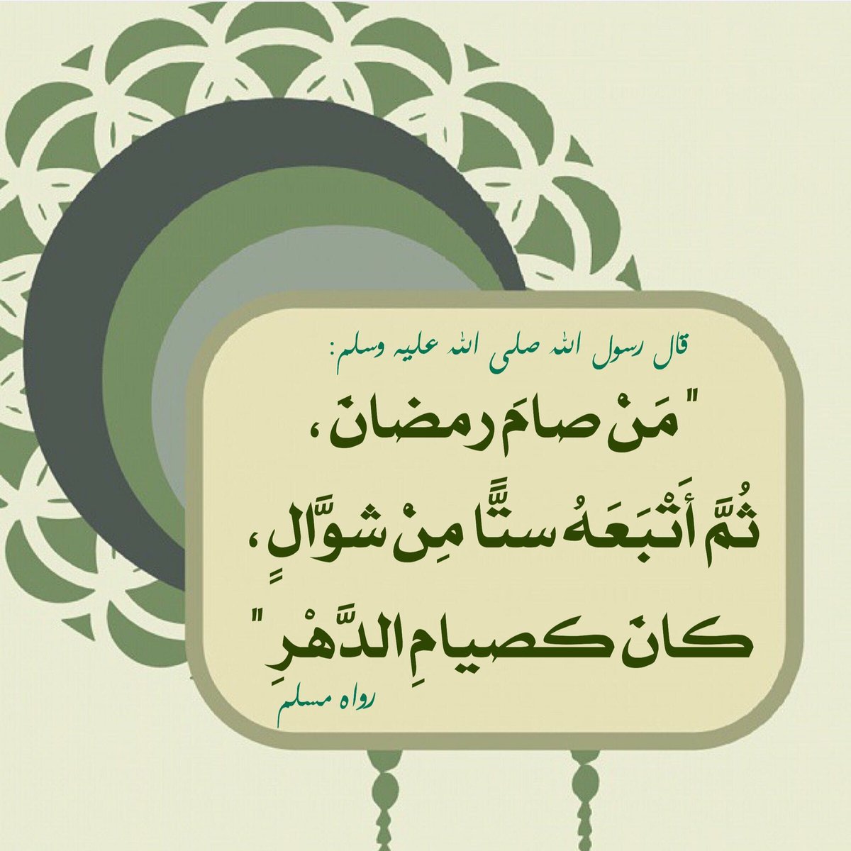 albazazh2's tweet photo. تذكير :
                        
قــال النبي ﷺ 《 مَن صامَ رمضان ؛ ثُمّ أَتْبَعَهُ سِتًّا مِن شوَّال ؛ كانَ كصيامِ الدَّهْر 》

#صيام_ست_من_شوال
#البظاظة https://t.co/exR7y1TM0K