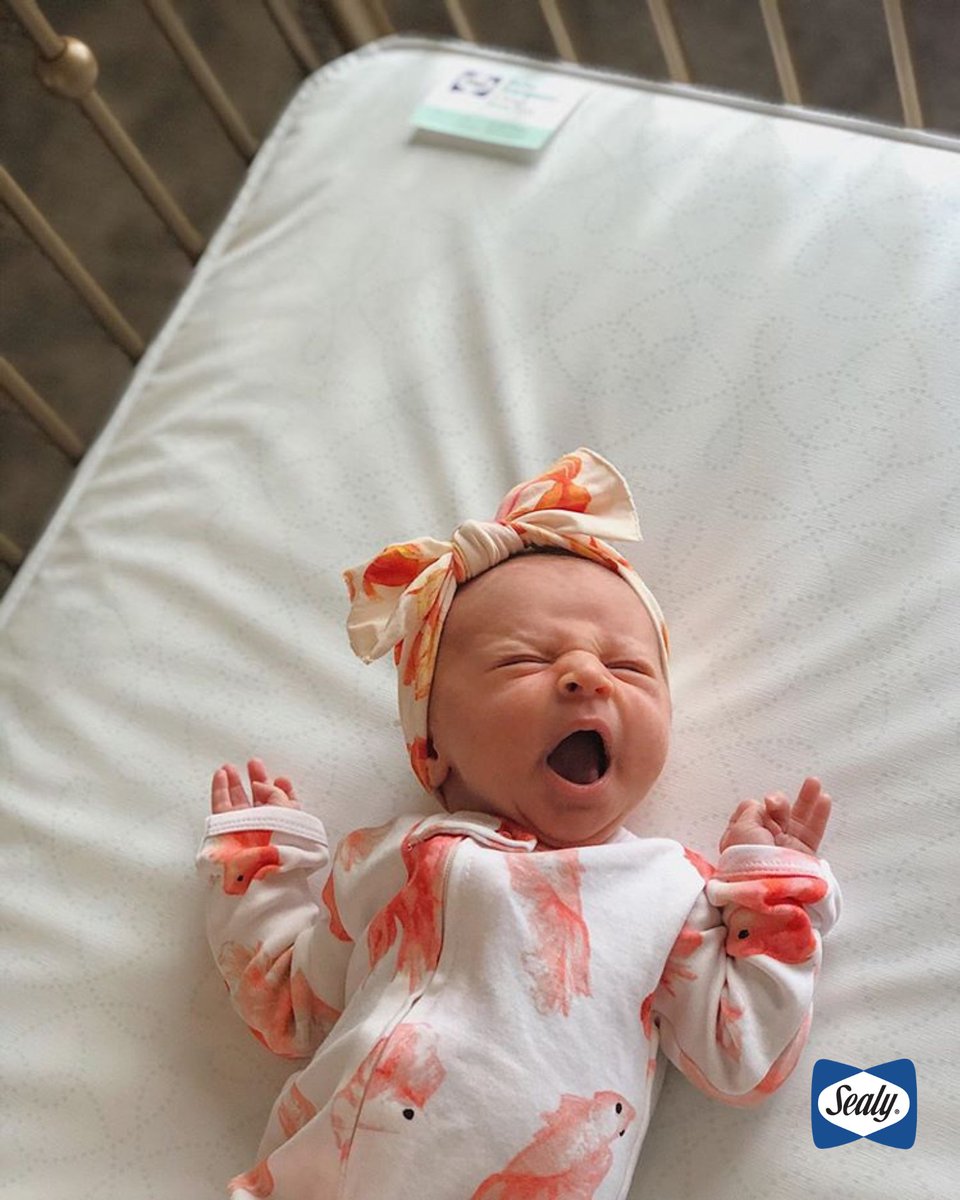 sealy baby stargazer 2 stage