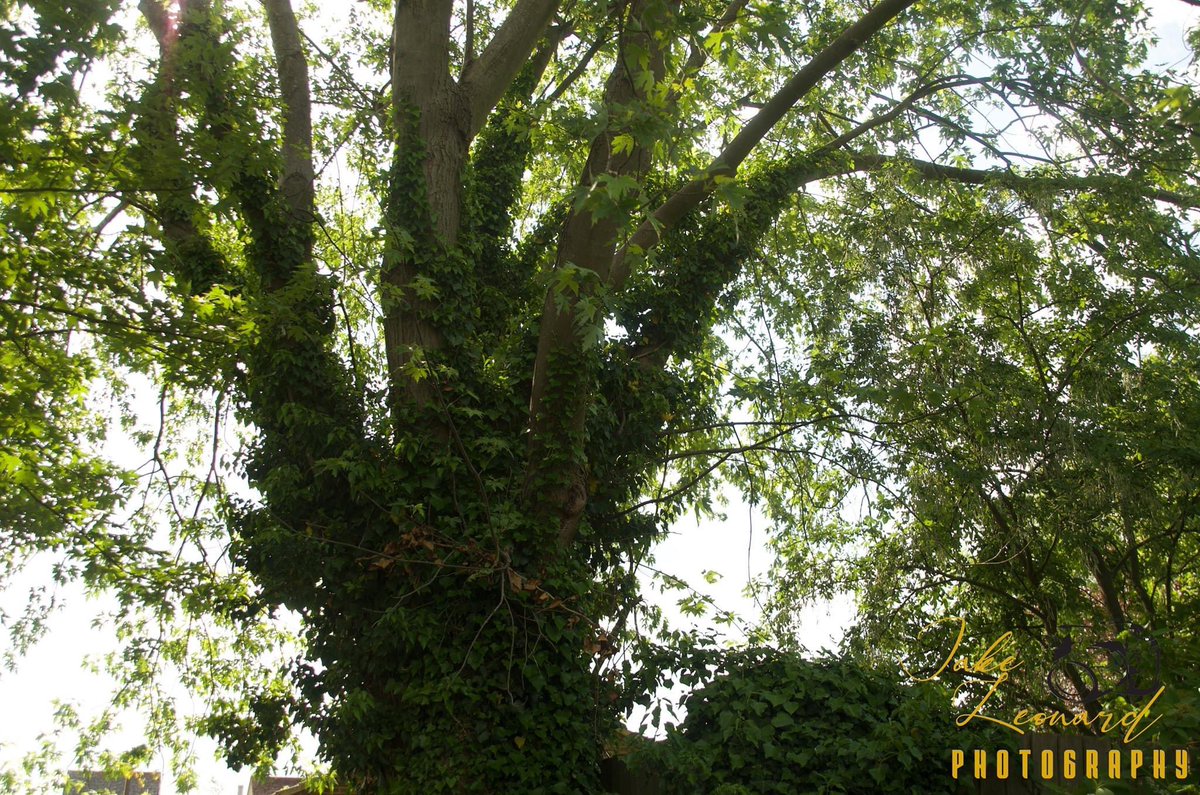 It’s all in the detail