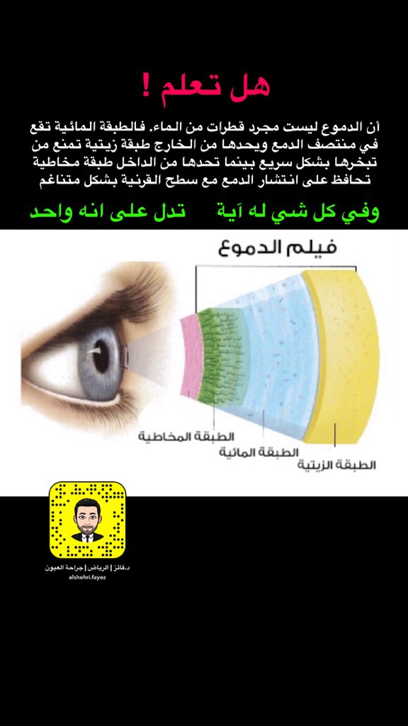 هل تعلم بأن دموع العين ليست مجرد قطرات من الماء.
فالطبقة المائية تقع في منتصف الدمع ويحدها من الخارج طبقة زيتية تمنع تبخرها بشكل سريع بينما يحدها من الداخل طبقة مخاطية تساعد على انتشار الدمع على سطح القرنية بشكل متناغم.
فسبحان الله أحسن الخالقين.