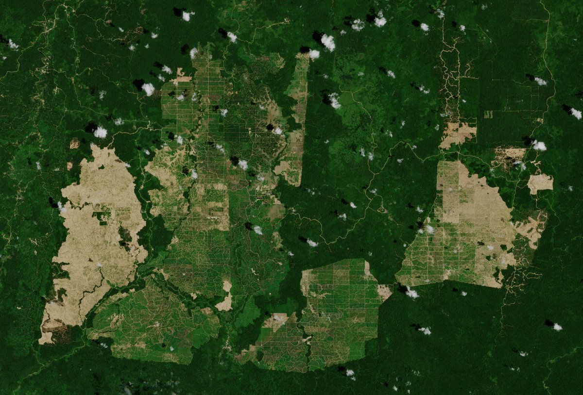 OurRadiantEarth's tweet photo. #EONews Want to revisit the key takeaways from #CV4A and ML for Climate Change workshops? Check out this great #ICLR2020 recap from @deepplanet3 and read how #AI and #MachineLearning are helping us tackle climate change, food insecurity, and more. https://t.co/XYdm3RIYOn https://t.co/eskgnmMjhu