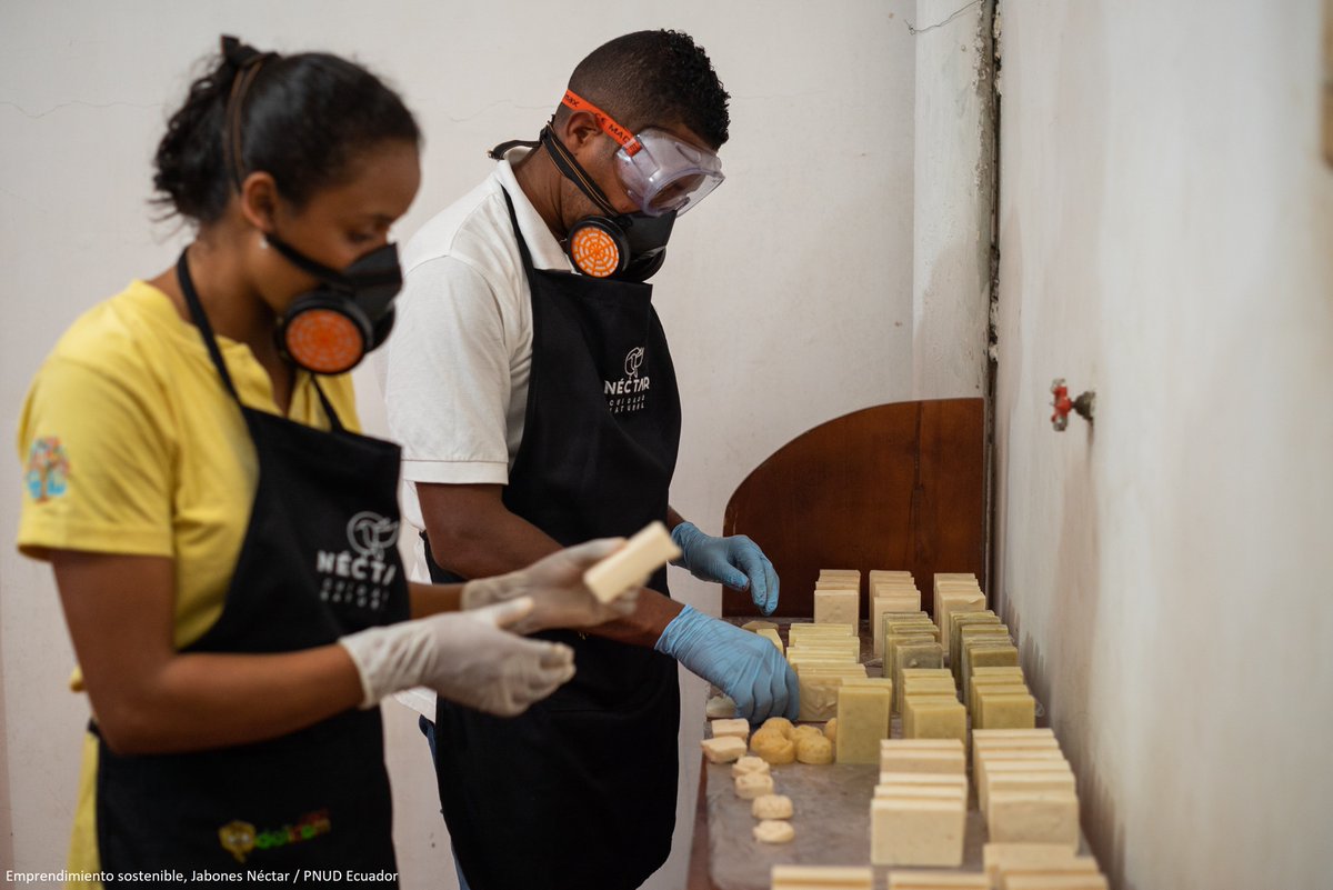 PNUDEcuador's tweet photo. "Esta es la #oportunidad para construir “una #economía diferente: más equitativa, inclusiva y #sostenible. No solo es posible, es necesario y urgente". Op-ed/Columna de Matilde Mordt, representante de @PNUDEcuador en @elcomerciocom ➡️ https://t.co/Zi20PBJtlZ #COVID19  #Agenda2030 https://t.co/VIhzXJYPcR