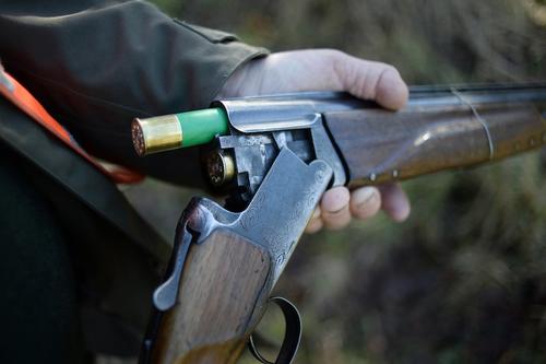 Limportant_fr's tweet image. Il prend une femme pour un cerf et la tue dans son jardin: 1 an de prison avec sursis pour le chasseur limportant.fr/infos-societe/… #Société