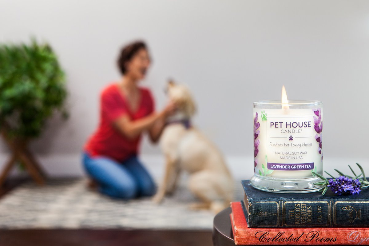 59 Top Photos Pet House Candles Where To Buy / One Fur All 100 Natural Soy Wax Candle 20 Fragrances Pet Odor Eliminator Up To 60 Hours Burn Time Non Toxic Eco Friendly Reusable Glass Jar Scented Candles Pack Of 1 White 612520695330
