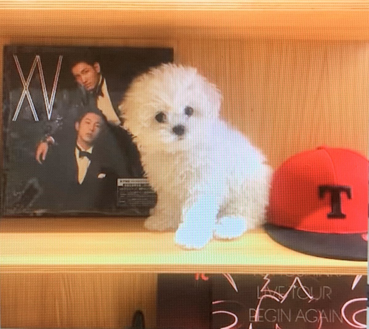 Changmin displaying XV album album on his home DOOR ENTRANCE.