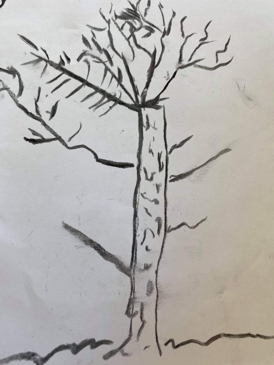 Skolor som använder Skolskogsryggsäcken i sin undervisning märker hur uppskattade övningarna är av eleverna. Här ett exempel från Unbyns skola i Bodens kommun. Övning nummer 1 och 2 från Skolskogsryggsäcken, måla av ett träd och skapa siffror, samt en mandala skapad av naturen.