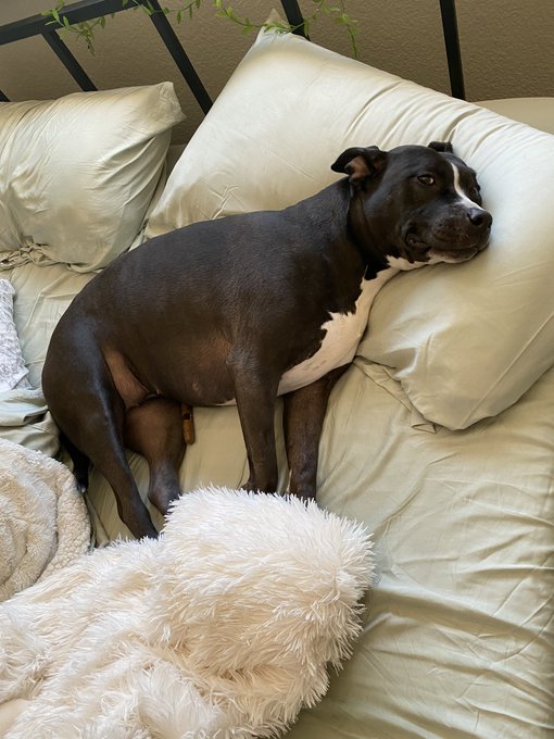 an opal for u https://t.co/HqMVdYrE9V