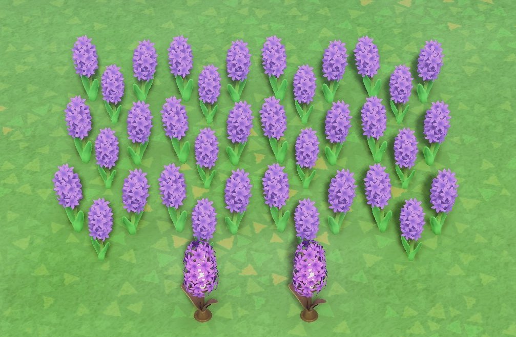 OasisACNH (@acnh_oasis) | Twitter