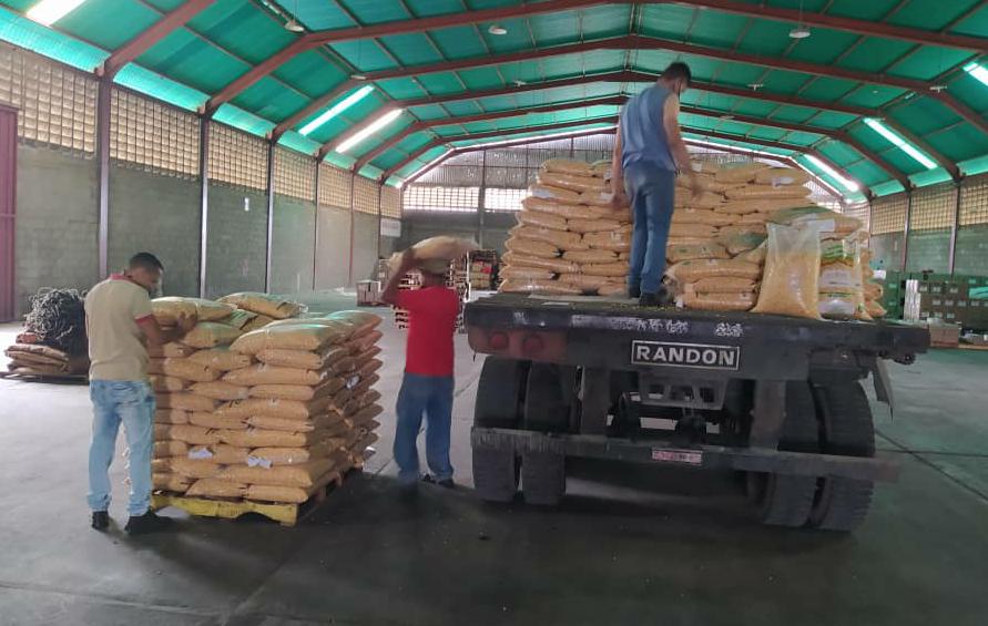 FundaciteLARA's tweet photo. #27May | #UTICEX | Hoy recibimos en #Lara el 1er lote de 1200 sacos de semilla soberana de maíz amarillo, para el Plan Venezuela Cultiva2020 Ciclo Invierno
¡@uticex y @PartidoPSUV en articulación productiva!
#CuarentenaYProducción
#ProducirEsVencer
@NicolasMaduro https://t.co/5P4JxaGKSO