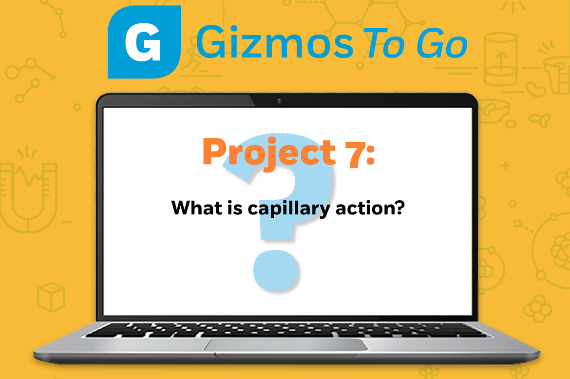 ExploreLearning's tweet image. This &apos;Gizmos to Go&apos; activity explores capillary action in flowers and celery. You&apos;ll only need some everyday items and can explore even further with our Sticky Molecules Gizmo. #ELGizmos #edtech #STEMed #gizmostogo ow.ly/1KAg50zLBDd